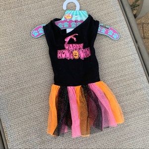 Halloween dog custom
